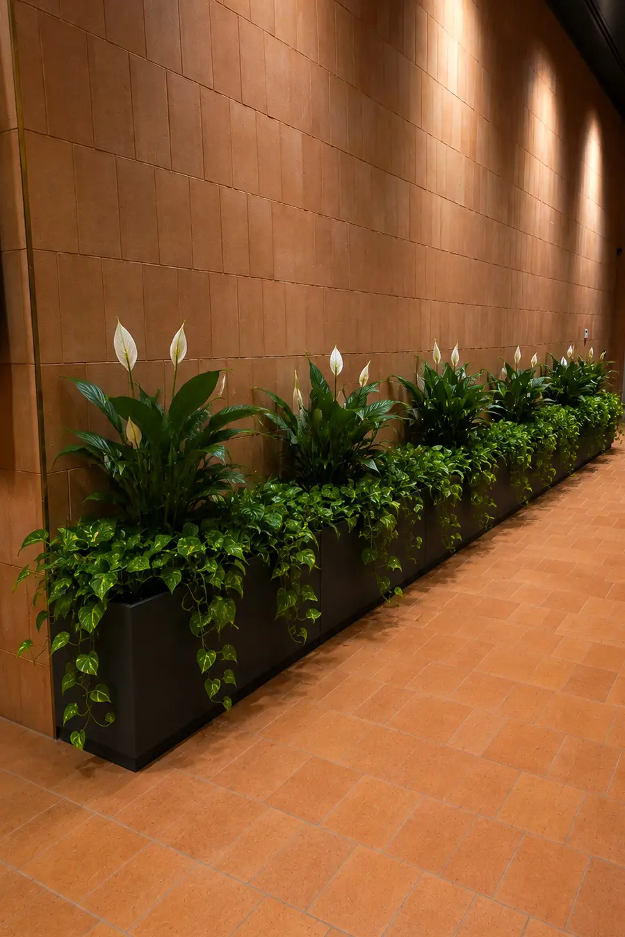 Long black planter of peace lilies and pothos along a lit brick corridor wall