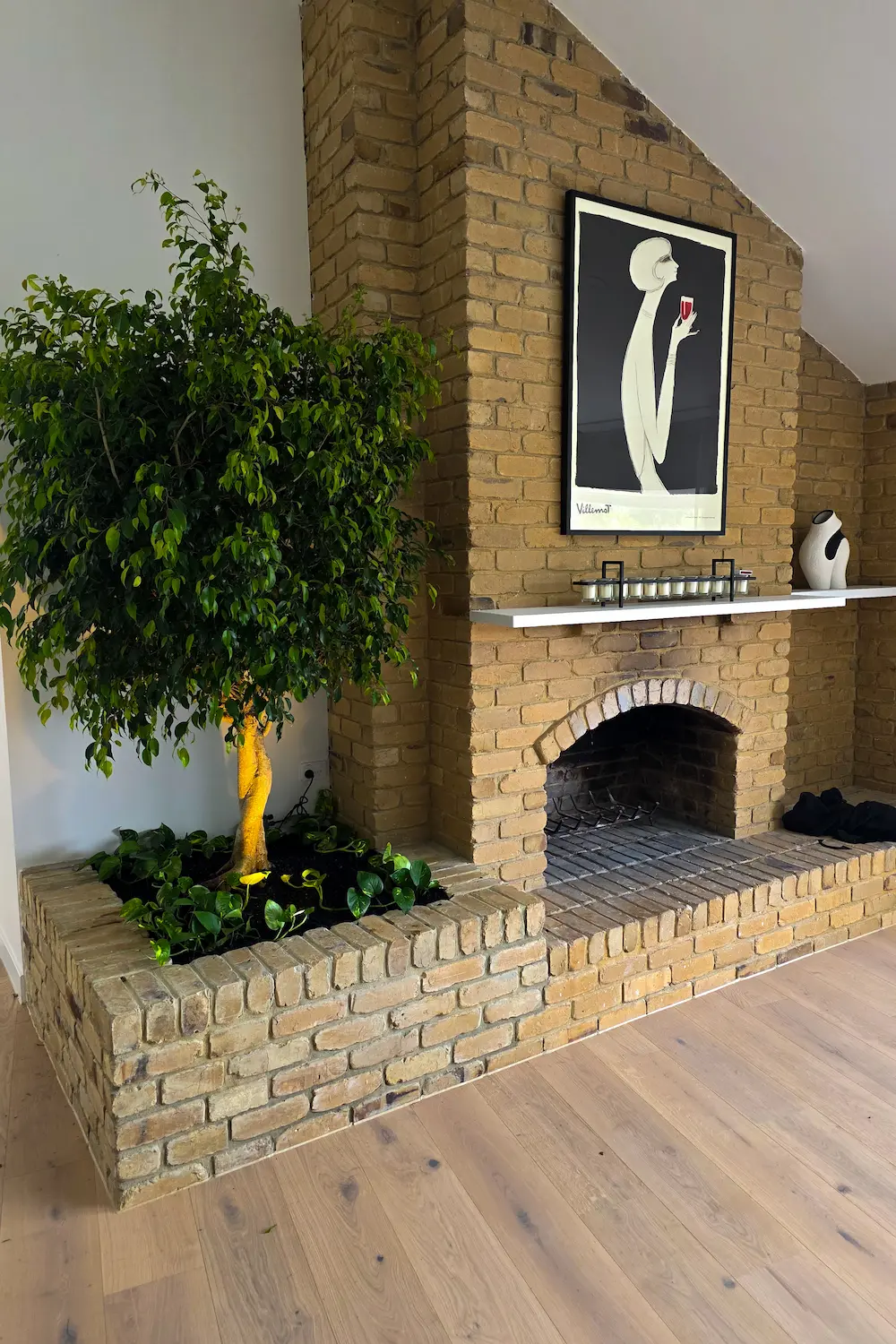 Indoor ficus tree underplanted with pothos in a raised brick garden bed