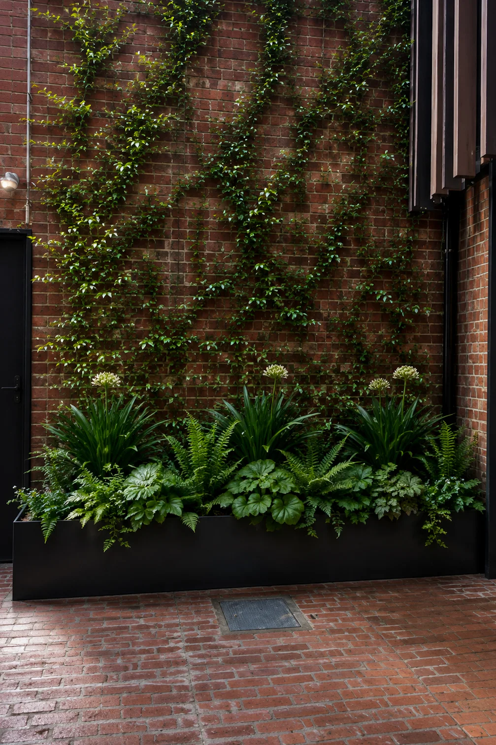 Vertical garden installation with climbing plants, ferns and agapanthus in a black planter against a brick wall