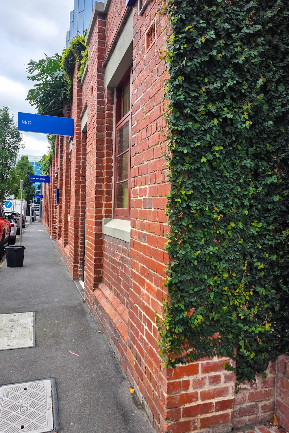Dense climbing greenery maintained across the brick facade of a commercial building